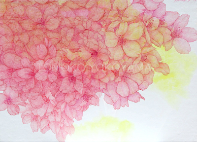 空の深度-春光-