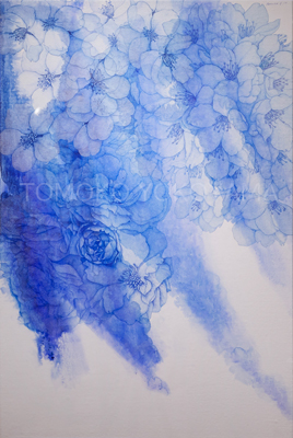 空の深度-アオイサクラ-